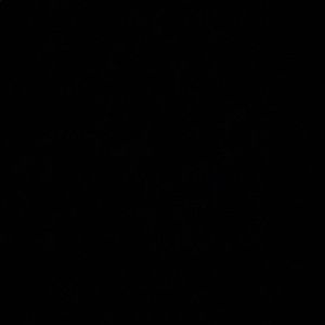 Meet your Posher, Jocelyn